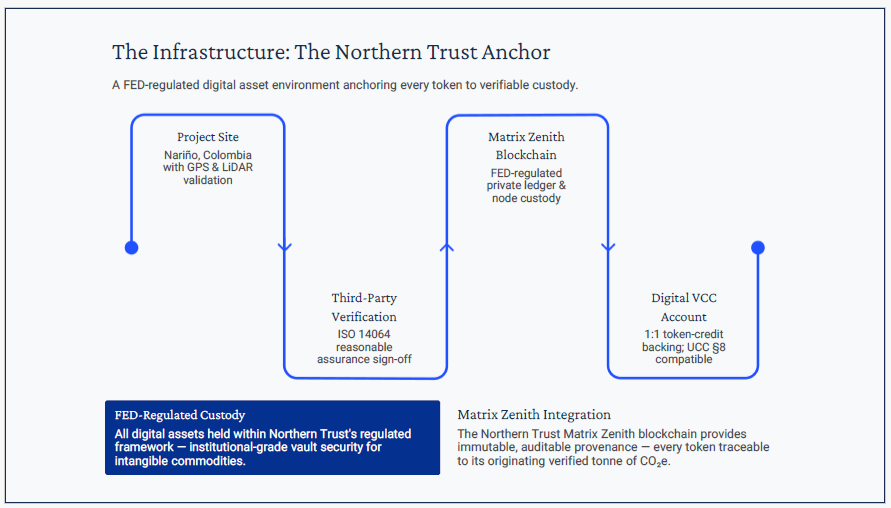 NTCE Settlement Flow